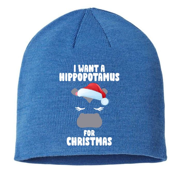 I Want A Hippopotamus For Christmas Xmas Hippo Cute Great Gift Sustainable Beanie