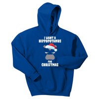 I Want A Hippopotamus For Christmas Xmas Hippo Cute Great Gift Kids Hoodie