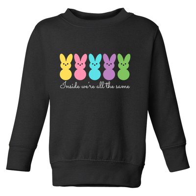 Inside We Are All The Same Easter Bunny Toddler Sweatshirt