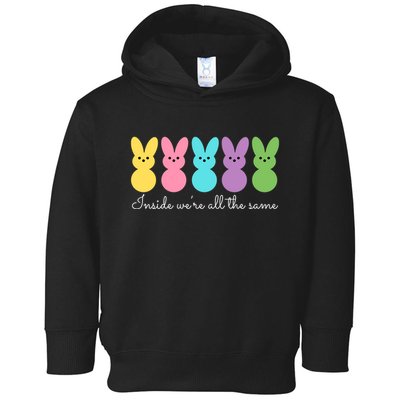 Inside We Are All The Same Easter Bunny Toddler Hoodie