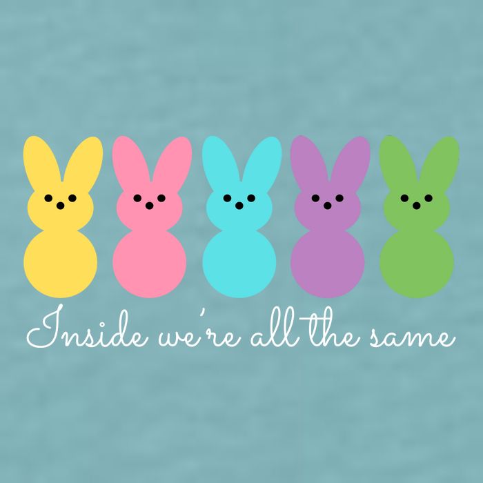 Inside We Are All The Same Easter Bunny Sueded Cloud Jersey T-Shirt