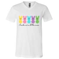 Inside We Are All The Same Easter Bunny V-Neck T-Shirt