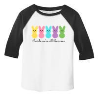 Inside We Are All The Same Easter Bunny Toddler Fine Jersey T-Shirt
