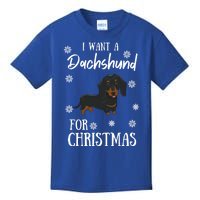 I Want A Dachshund For Christmas Weenie Dog Gift Cute Gift Kids T-Shirt