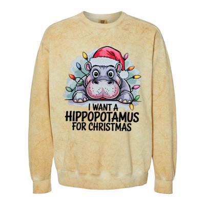 I Want A Hippopotamus For Christmas Hippo Christmas Lights Colorblast Crewneck Sweatshirt