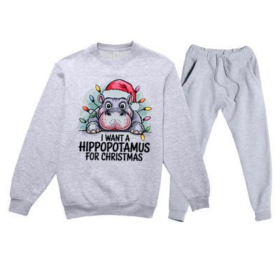 I Want A Hippopotamus For Christmas Hippo Christmas Lights Premium Crewneck Sweatsuit Set