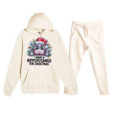 I Want A Hippopotamus For Christmas Hippo Christmas Lights Premium Hooded Sweatsuit Set