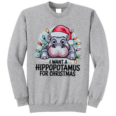 I Want A Hippopotamus For Christmas Hippo Christmas Lights Tall Sweatshirt