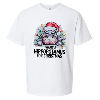 I Want A Hippopotamus For Christmas Hippo Christmas Lights Sueded Cloud Jersey T-Shirt