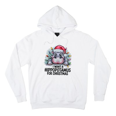 I Want A Hippopotamus For Christmas Hippo Christmas Lights Hoodie