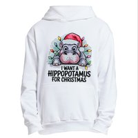 I Want A Hippopotamus For Christmas Hippo Christmas Lights Urban Pullover Hoodie