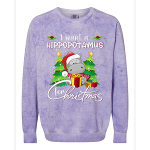 I Want A Hippopotamus For Christmas Xmas Hippo Colorblast Crewneck Sweatshirt