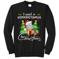 I Want A Hippopotamus For Christmas Xmas Hippo Sweatshirt