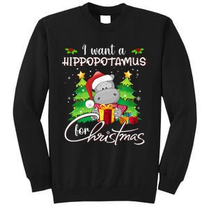 I Want A Hippopotamus For Christmas Xmas Hippo Tall Sweatshirt