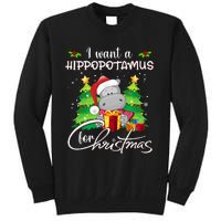 I Want A Hippopotamus For Christmas Xmas Hippo Tall Sweatshirt