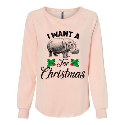 I Want A Hippopotamus For Christmas TShirt Womens California Wash Sweatshirt