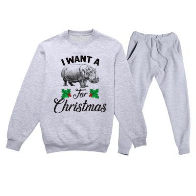 I Want A Hippopotamus For Christmas TShirt Premium Crewneck Sweatsuit Set