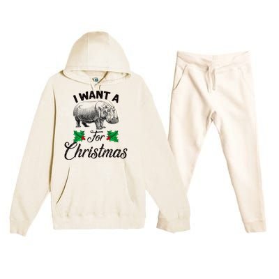 I Want A Hippopotamus For Christmas TShirt Premium Hooded Sweatsuit Set