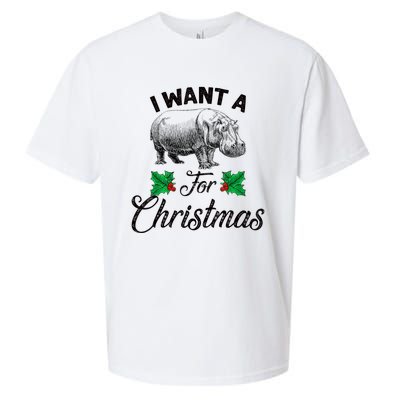 I Want A Hippopotamus For Christmas TShirt Sueded Cloud Jersey T-Shirt