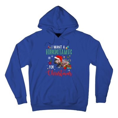 I Want A Hippopotamus For Christmas Hippo Fiona Cool Gift Hoodie