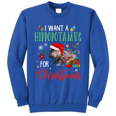 I Want A Hippopotamus For Christmas Hippo Fiona Cool Gift Sweatshirt