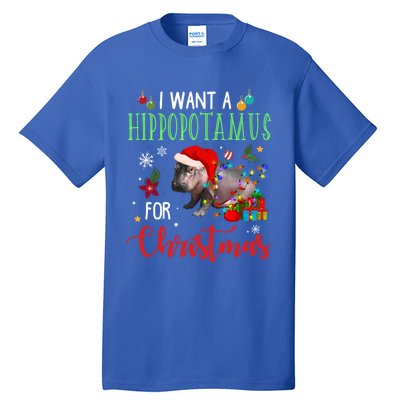 I Want A Hippopotamus For Christmas Hippo Fiona Cool Gift Tall T-Shirt