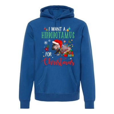 I Want A Hippopotamus For Christmas Hippo Fiona Cool Gift Premium Hoodie