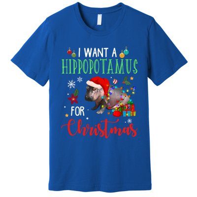 I Want A Hippopotamus For Christmas Hippo Fiona Cool Gift Premium T-Shirt