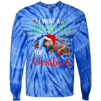 I Want A Hippopotamus For Christmas Hippo Fiona Cool Gift Tie-Dye Long Sleeve Shirt