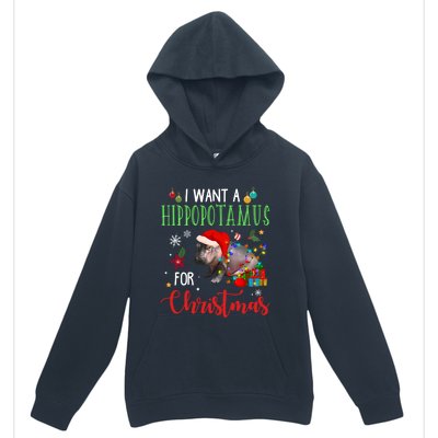 I Want A Hippopotamus For Christmas Hippo Fiona Cool Gift Urban Pullover Hoodie