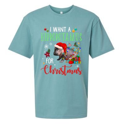 I Want A Hippopotamus For Christmas Hippo Fiona Cool Gift Sueded Cloud Jersey T-Shirt