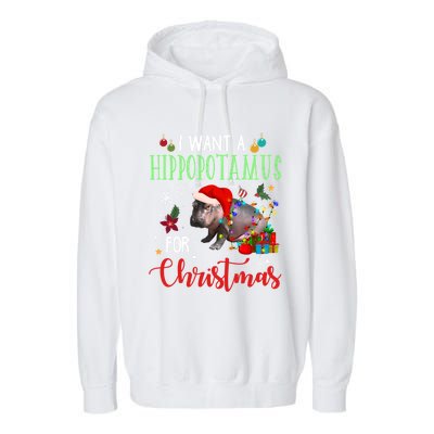 I Want A Hippopotamus For Christmas Hippo Fiona Cool Gift Garment-Dyed Fleece Hoodie