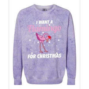 I Want A Flamingo For Christmas Funny Family Christmas Gift Colorblast Crewneck Sweatshirt