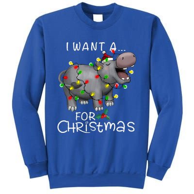 I Want A Hippopotamus For Christmas Sweatshirt