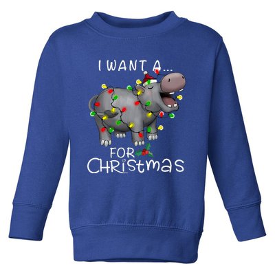 I Want A Hippopotamus For Christmas Toddler Sweatshirt