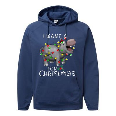 I Want A Hippopotamus For Christmas Performance Fleece Hoodie