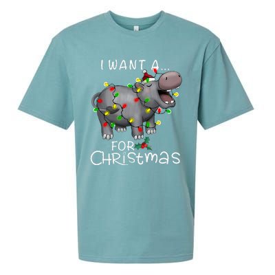 I Want A Hippopotamus For Christmas Sueded Cloud Jersey T-Shirt