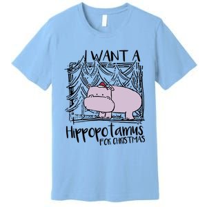 I Want A Hippopotamus For Christmas Hippo Gift Premium T-Shirt