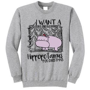 I Want A Hippopotamus For Christmas Hippo Gift Tall Sweatshirt