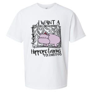 I Want A Hippopotamus For Christmas Hippo Gift Sueded Cloud Jersey T-Shirt