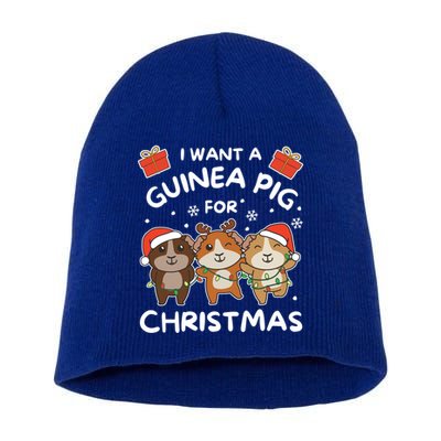 I Want A Guinea Pig For Christmas Cute Animals Meaningful Gift Short Acrylic Beanie