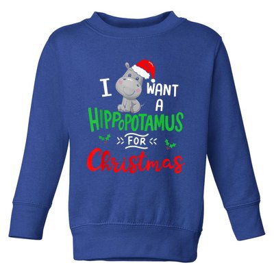 I Want A Hippopotamus For Christmas Xmas Pajama Hippo Lover Funny Gift Toddler Sweatshirt