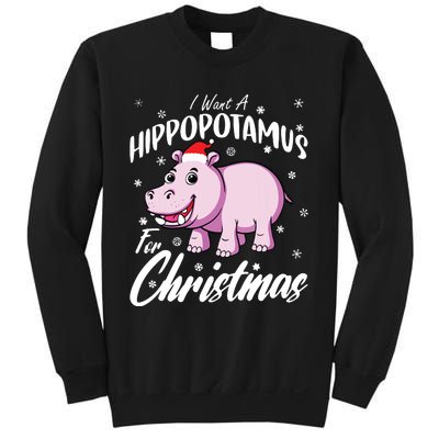 I Want A Hippopotamus For Christmas Shirts Xmas Hippo Sweatshirt