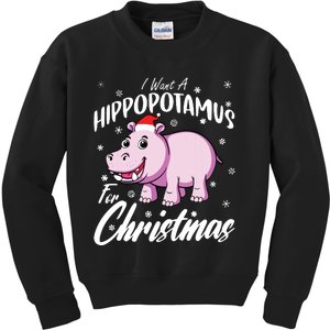 I Want A Hippopotamus For Christmas Shirts Xmas Hippo Kids Sweatshirt