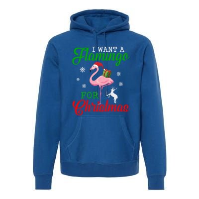 I Want A Flamingo For Christmas Funny Gift Premium Hoodie