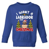 I Want A Labrador For Christmas Labs Mom Dog Lover Christmas Gift Toddler Sweatshirt