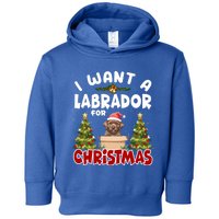 I Want A Labrador For Christmas Labs Mom Dog Lover Christmas Gift Toddler Hoodie