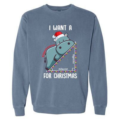 I Want A Hippotenuse For Christmas Math Teacher Xmas Hippo Gift Garment-Dyed Sweatshirt