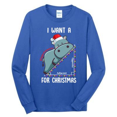 I Want A Hippotenuse For Christmas Math Teacher Xmas Hippo Gift Tall Long Sleeve T-Shirt