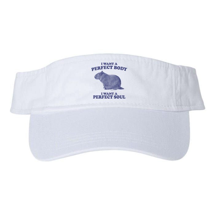 I Want A Perfect Body I Want A Perfect Soul Capybara Valucap Bio-Washed Visor